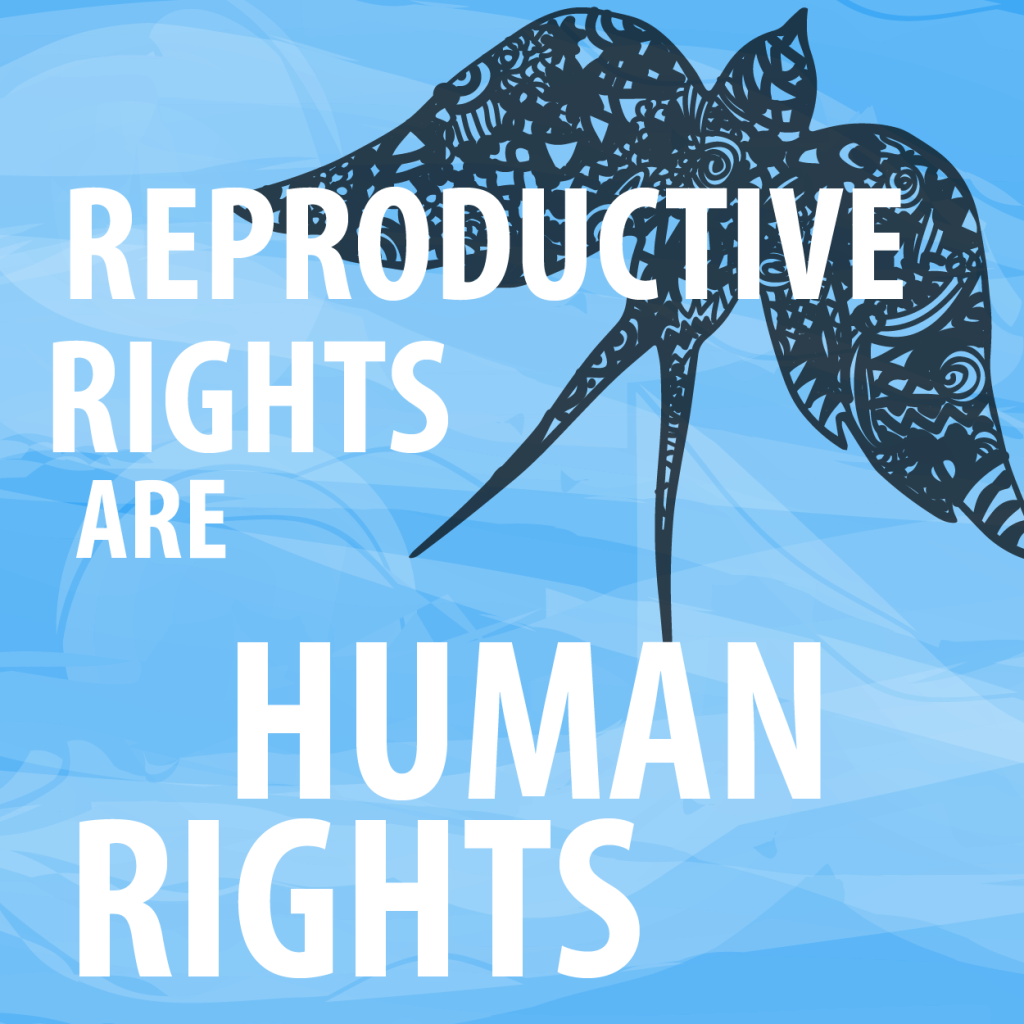 Reproductive Rights are Human Rights - Image credit: Secular Pro-Life Perspective