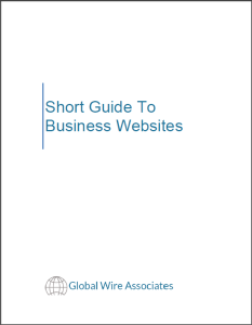 Short Guide to Business Websites Book Cover